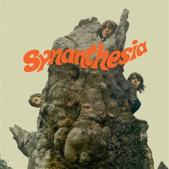 Cover for Synanthesia · Synasthesia (LP) (2023)