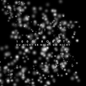 Cover for 1000 Robota · Du Nicht er Nicht Sie Nicht (CD) (2008)