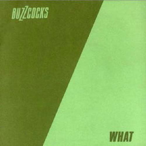 Cover for Buzzcocks · What Do I Get (CD + Dvd) (CD) (2011)
