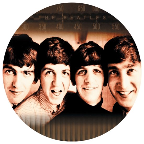 The Beatles The Covers Limited Edition Picture Disc - The Beatles - Musikk - ART OF VINYL - 5055748540023 - 14. juli 2023