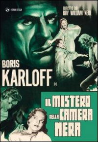 Il Mistero Della Camera Nera Dvd Italian Import - Movie - Movies - CG Entertainment - 8017229462023 - October 8, 2013