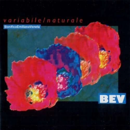 Variabile / Naturale - B.E.V. BonificaEmilianaVeneta - Musik - DUNYA - 8021750804023 - 1. Juli 2001