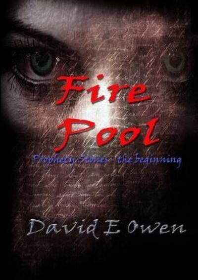 Cover for David Owen · Fire Pool (Paperback Bog) (2018)