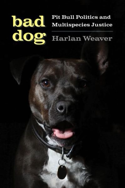 Cover for Harlan Weaver · Bad Dog: Pit Bull Politics and Multispecies Justice - Feminist Technosciences (Paperback Book) (2021)
