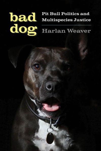 Bad Dog: Pit Bull Politics and Multispecies Justice - Feminist Technosciences - Harlan Weaver - Kirjat - University of Washington Press - 9780295748023 - perjantai 26. maaliskuuta 2021