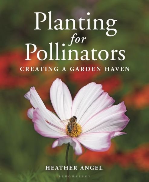 Cover for Ms Heather Angel · Planting for Pollinators: Creating a Garden Haven (Paperback Bog) (2023)