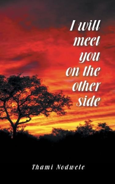 Cover for Thami Nodwele · I Will Meet You on the Other Side (Paperback Bog) (2014)