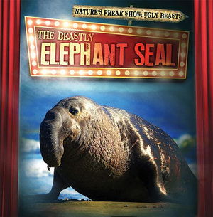 Cover for Janey Levy · The Beastly Elephant Seal (Paperback Book) (2019)