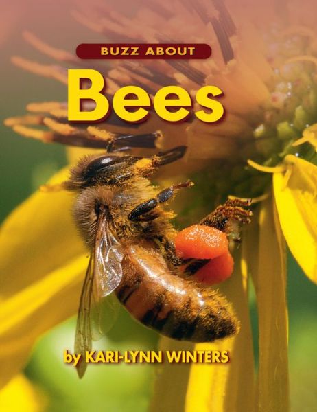 Cover for Kari-Lynn Winters · Buzz About Bees***************** (Hardcover Book) (2013)