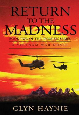 Cover for Glyn Haynie · Return To The Madness (Gebundenes Buch) (2020)