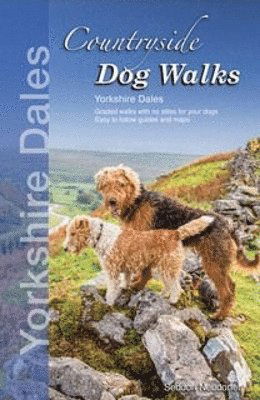 Cover for Seddon Neudorfer · Countryside Dog Walks: Yorkshire Dales (Paperback Book) (2024)