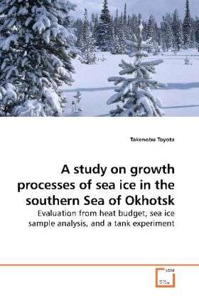 Cover for Toyota · A study on growth processes of s (Book)