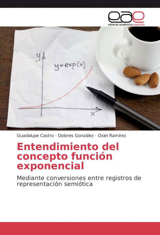 Entendimiento del concepto funci - Castro - Books -  - 9783659701023 - 