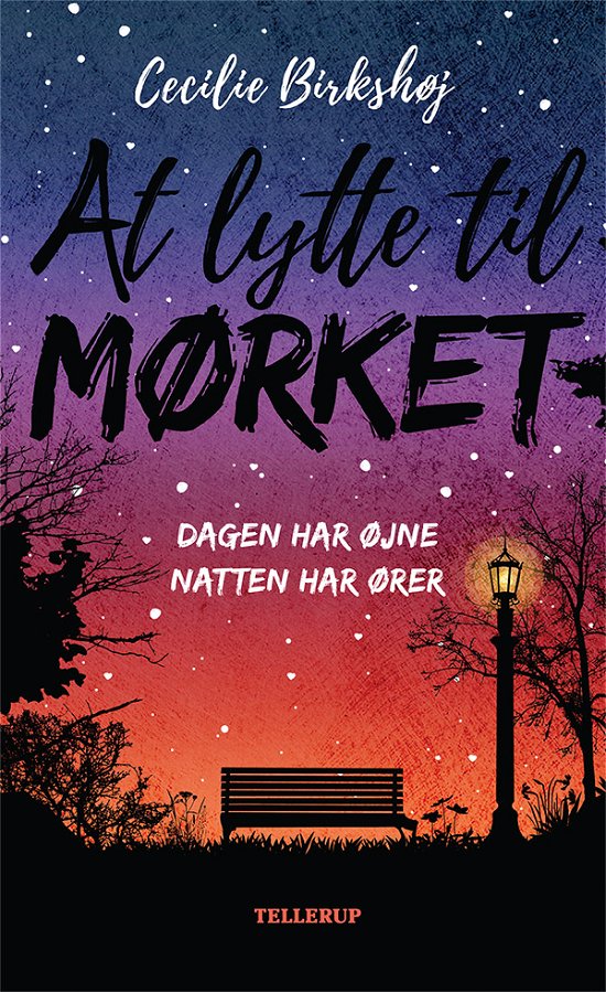 Cover for Cecilie Birkshøj · Det ingen ser: At lytte til mørket (Hardcover Book) [1e uitgave] (2023)