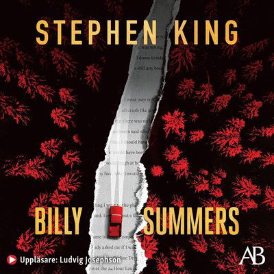 Billy Summers - Stephen King - Äänikirja - Albert Bonniers Förlag - 9789100191023 - keskiviikko 24. marraskuuta 2021