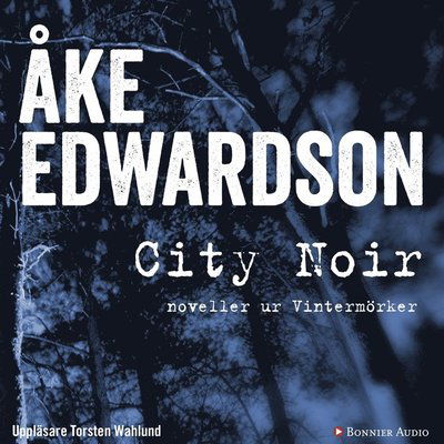 Cover for Åke Edwardson · City Noir : noveller ur Vintermörker (Audiobook (MP3)) (2016)