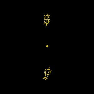 Black Up - Shabazz Palaces - Musikk - SUB POP - 0098787090024 - 11. juli 2011