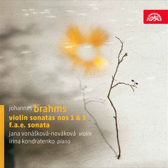 Johannes Brahms / Violin Sonatas - Jana Vonaskova-novakova - Musique - SUPRAPHON RECORDS - 0099925417024 - 31 mars 2014
