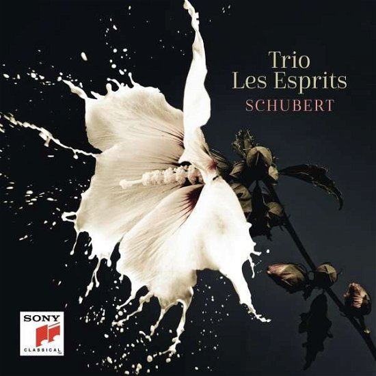 Schubert - Trio Les Esprits - Muziek - CLASSICAL - 0190758217024 - 8 februari 2019