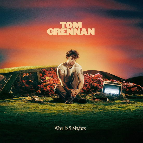 What Ifs & Maybes - Tom Grennan - Musiikki - INSANITY RECORDS - 0196587491024 - perjantai 16. kesäkuuta 2023