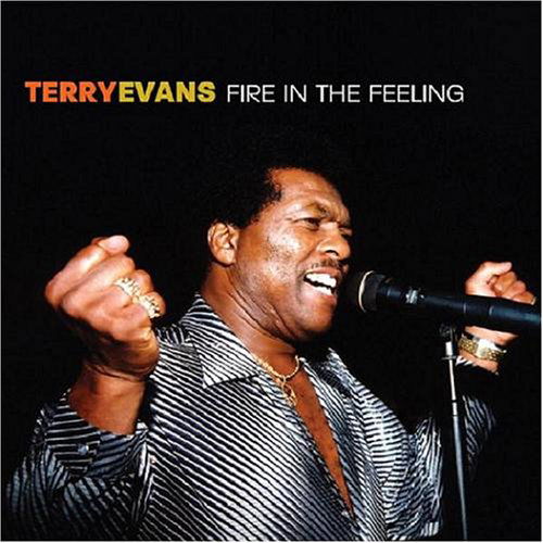 Fire In The Feeling - Terry Evans - Muziek - VALLEY - 0618321520024 - 12 juli 2005