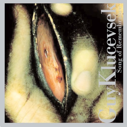 Cover for Guy Klucevsek · Song Of Rememberance (CD) (1999)
