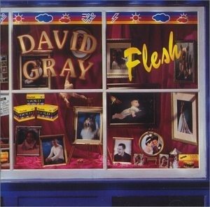 Cover for David Gray · David Gray - Flesh (CD)