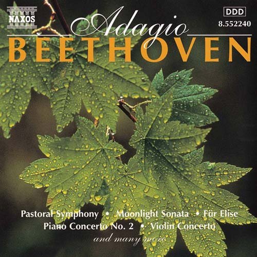 Adagio Beethoven - Beethoven - Musikk - NAXOS - 0730099224024 - 13. mai 1997
