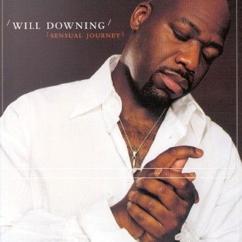 Sensual Journey - Will Downing - Music - UNIVERSAL - 0731458961024 - May 7, 2002