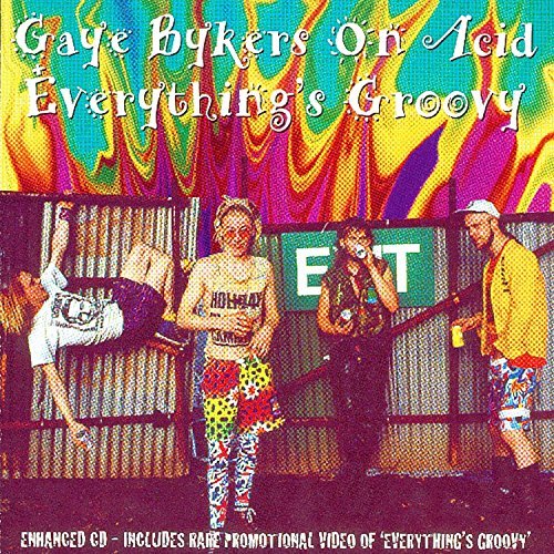 Cover for Gaye Bykers On Acid · Everything's Groovy (CD) (2016)