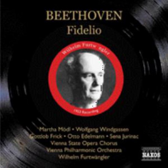 Cover for David Zinman · Ludwig Van Beethoven: Fidelio (CD) (2006)