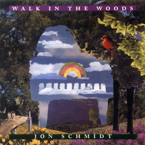 Cover for Jon Schmidt · Walk in the Woods (CD) (1995)