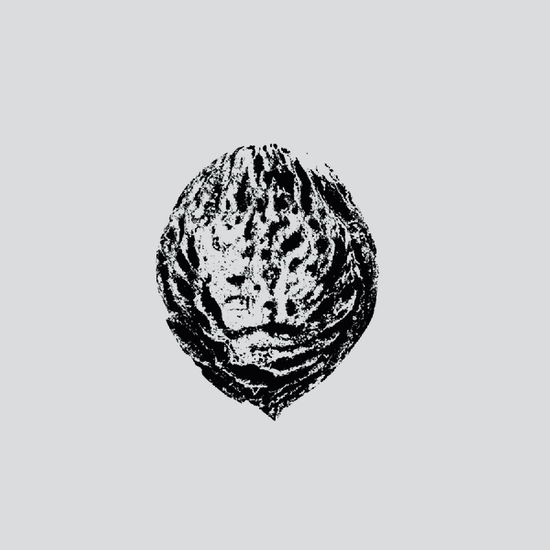 Cover for Black Lips · Bebop Armageddon (Detours &amp; Offcuts) (LP) (2025)