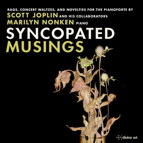 Cover for Nonken · Louis Chauvin / Charles Lamb / Scott Joplin / Scott Hayden / Arthur Marshall: Syncopated Musings (CD) (2022)