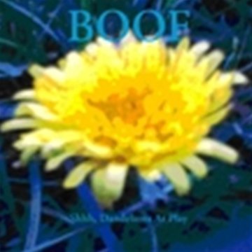 Cover for Boof · Shhh, Dandelions At Play (CD) (2011)