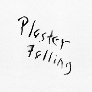 Cover for John Bender · Plaster Falling (LP) (2016)