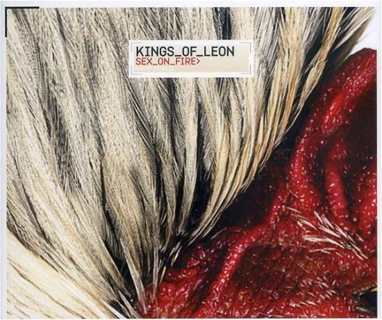 Sex On Fire - Kings of Leon - Música - COLUMBIA - 0886973520024 - 15 de setembro de 2008
