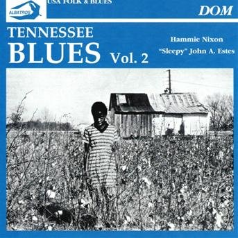 Cover for Tennessee Blues · Tennessee Blues Vol. 2 / Various (CD) (2007)