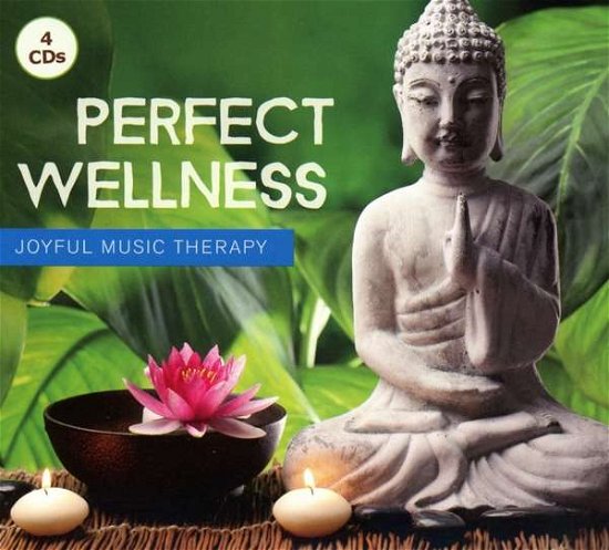 Cover for Perfect Wellness (CD) (2017)