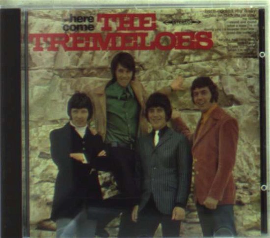 Here Come the Tremeloes - Tremeloes - Musik - SEQUEL - 4010946501024 - 23. april 2008