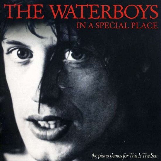 In A Special Place - Waterboys (The) - Musiikki - EMI - 5099909841024 - maanantai 5. toukokuuta 2014