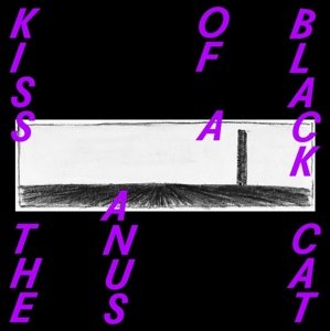 Cover for Kiss The Anus Of A Black Cat · If The Sky Falls, We Shall Catch Larks (LP) (2015)