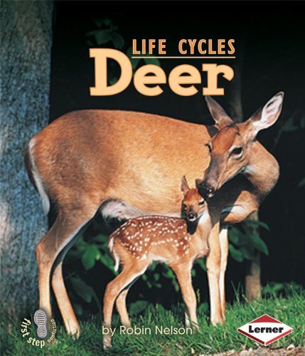Cover for Robin Nelson · Deer (First Step Nonfiction Animal Life Cycles) (Paperback Book) (2009)