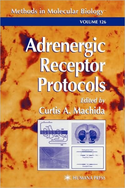 Cover for Curtis a Machida · Adrenergic Receptor Protocols - Methods in Molecular Biology (Hardcover Book) [2000 edition] (1999)