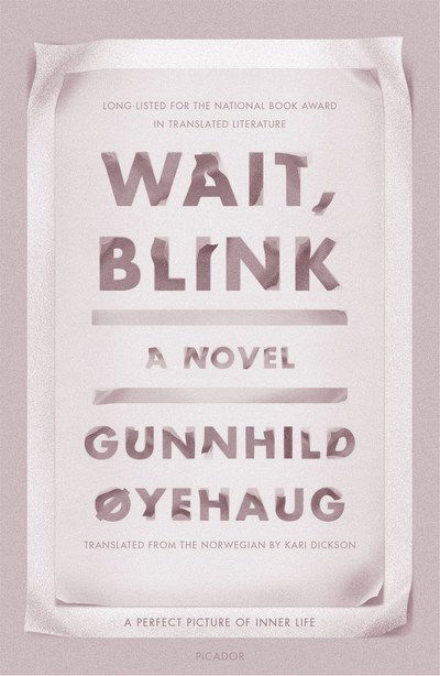 Cover for Gunnhild Oyehaug · Wait, Blink: A Perfect Picture of Inner Life: A Novel (Paperback Book) (2019)