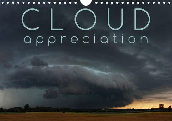 Cover for Cross · Cloud Appreciation (Wall Calendar (Book)