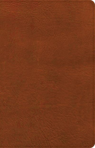 Cover for Holman Bible Publishers · NASB Large Print Thinline Bible, Burnt Sienna LeatherTouch (Book) (2023)