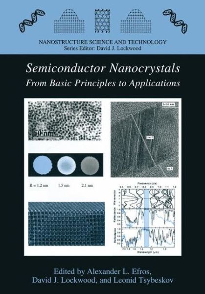 Semiconductor Nanocrystals: From Basic Principles to Applications - Nanostructure Science and Technology - Alexander L Efros - Books - Springer-Verlag New York Inc. - 9781441934024 - December 6, 2010