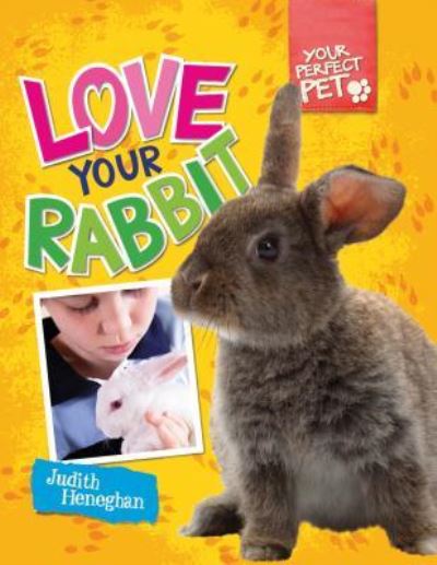 Cover for Judith Heneghan · Love your rabbit (Book) (2013)