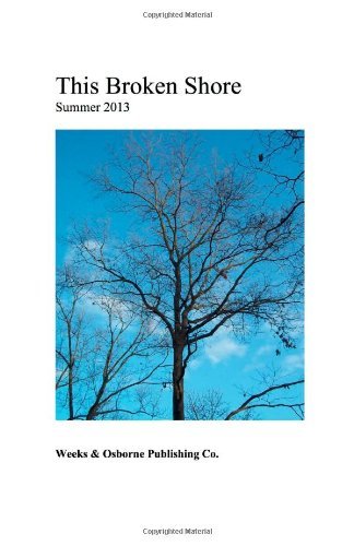 Cover for Daniel Weeks · This Broken Shore (Pocketbok) (2013)